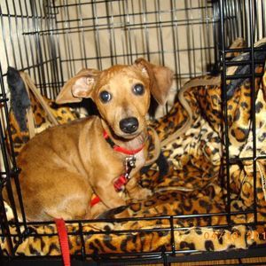 Meet your Posher, Laura